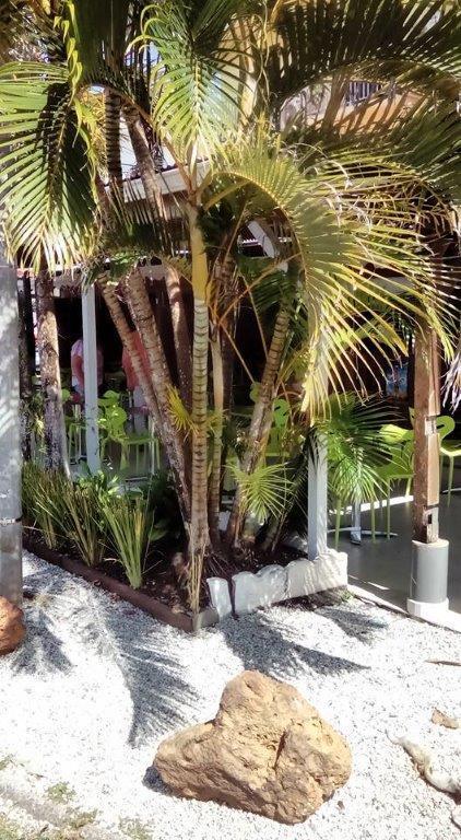 Hotel Des Amandiers 卡宴 外观 照片